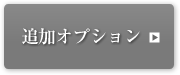 追加オプション
