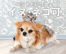 ペットと一緒に暮せる賃貸物件