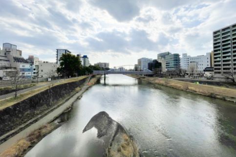 白川河川敷