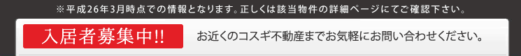 EMYU@f[I[v