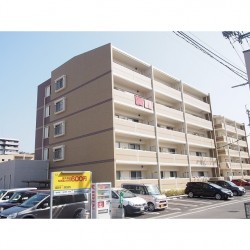 キャッスル熊本駅西 弐番館 (0503)