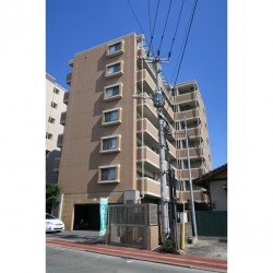LIBERTY HOUSE Ⅲ (0203)