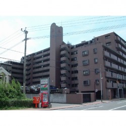 コアマンション九品寺 212号 (0212)
