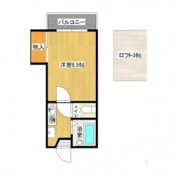 BAUHAUS(バウハウス) (0207)