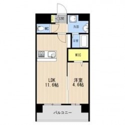 LIBTH菊陽227 (0302)