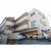 Dream Mansion 出水