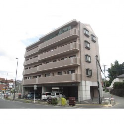 キャッスル上熊本 (0204)