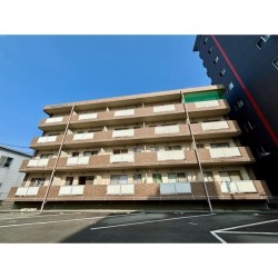 ヒルズkikuyo (0203)