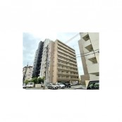 THE MUTUAL 藤崎宮