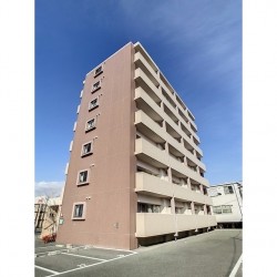 Viento南高江 (0401)