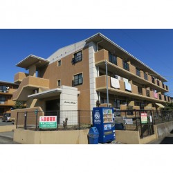 レインボーブリッジⅠ (0203)