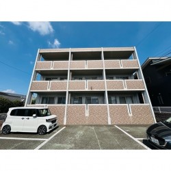 アムール1