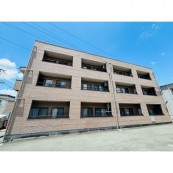 アーバン光の森