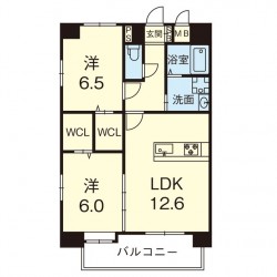 アステール菊陽 (0503)