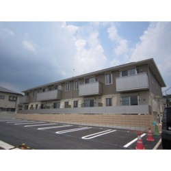 D-room花園