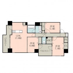 ヴィレラ辛島 (1001)