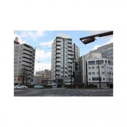 ヴィレラ辛島 (1001)