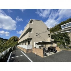コルトン