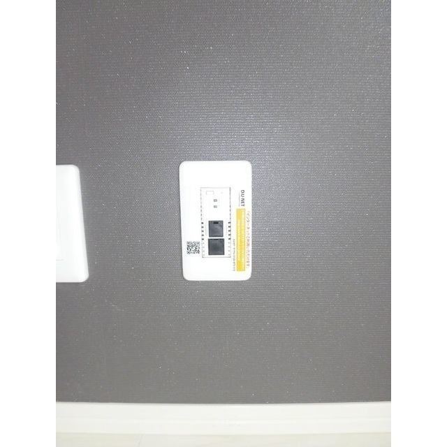 セジュール リ・ブロン (0201)の画像(15)