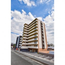 コンフォートパレス the Yuuki (0505)