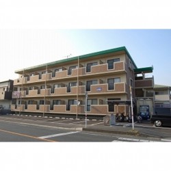 エッジ光の森 (0307)