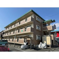 エッジ光の森 (0307)