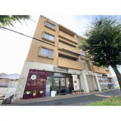 Bacco(バッカス) (0301)