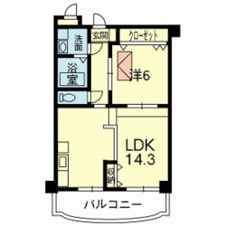 ウッドフォレストマンションB棟 (0204)