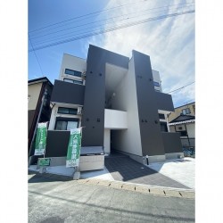 ステラ県庁通り