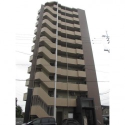 Grace Court 湖東 (0502)