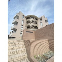 アレグリア黒髪 (0304)