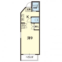 アレグリア黒髪 (0410)