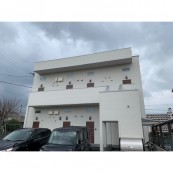 ステラ坪井