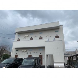 ステラ坪井