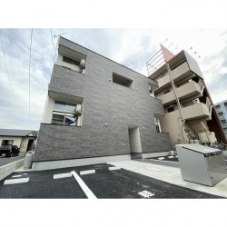 ステラ八王寺Ⅱ (0203)