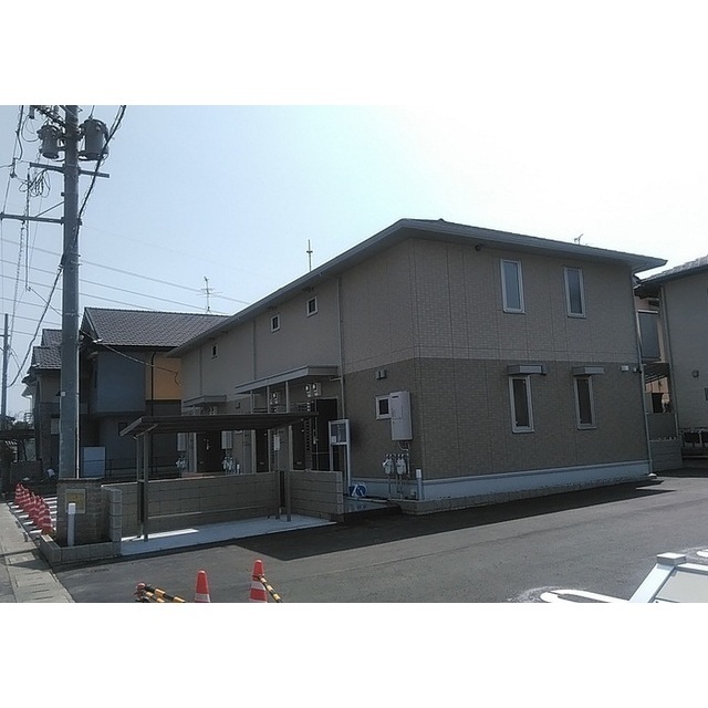 セイラブロッサム