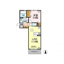 アガパンサス (0103)