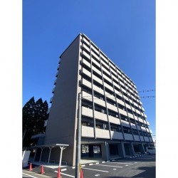 mon reve菊陽 (0409)