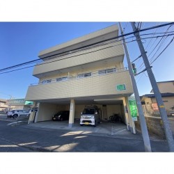 サンライズ黒髪