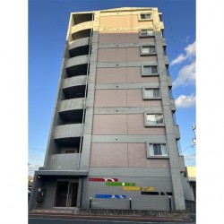 レイズマンション (0802)