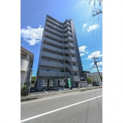 ペルル菊陽 (1002)