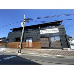 Cherry Blossom 国府