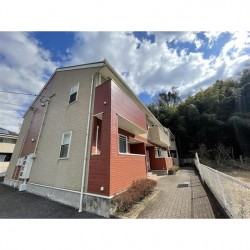 プラシードF (0205)