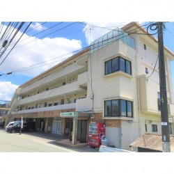 グリーンヒル武蔵 (0303)