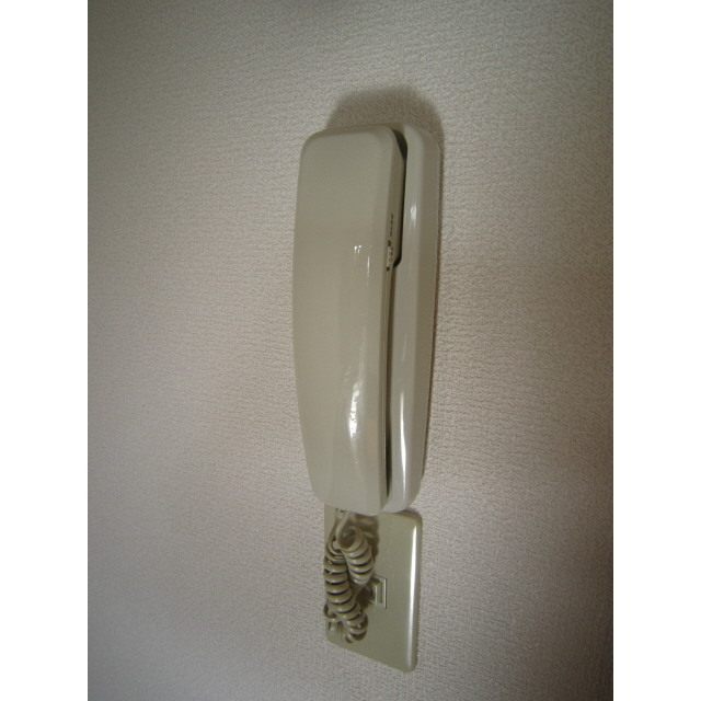 ビーライン・グローリー (0101)の画像(14)