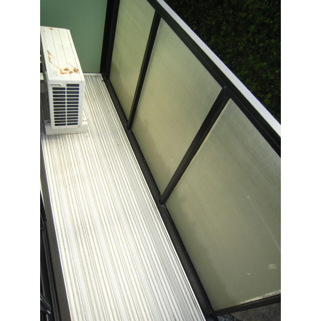 ビーライン・グローリー (0101)の画像(15)