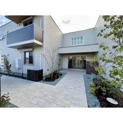 Shamaison Pasteque (0104)