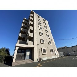 エステル近見 (0305)