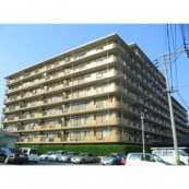 女子大前サンシャイン 202号