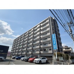 アンピール近見 306号